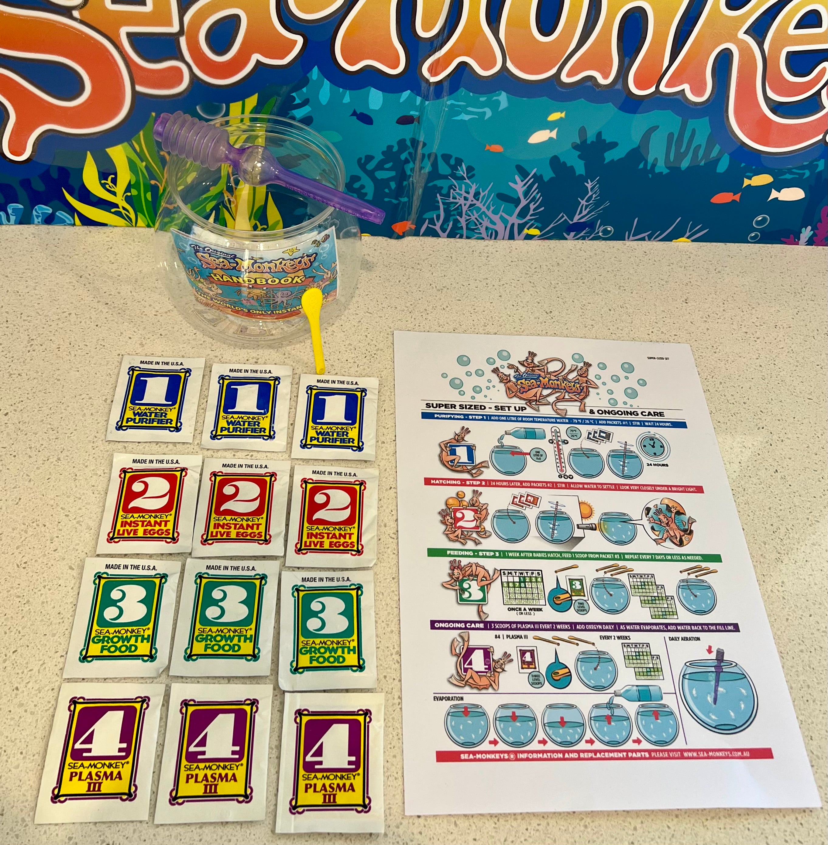 SEA-MONKEYS® SUPER BOWL - AGES 15 - 115 YEARS!!