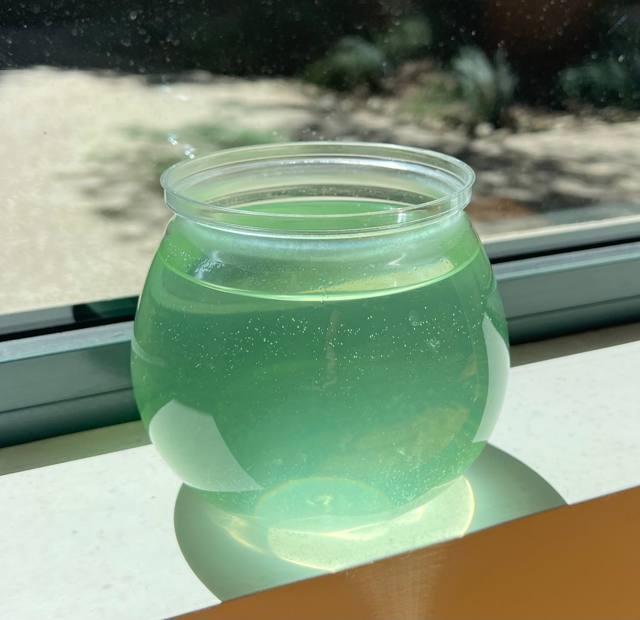 SEA-MONKEYS® SUPER BOWL - AGES 15 - 115 YEARS!!